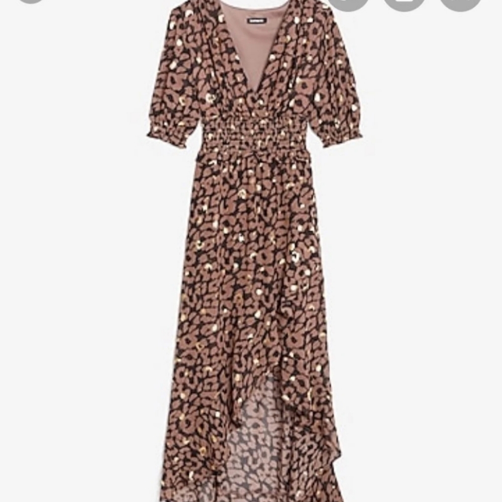 Express leopard dress